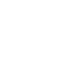 摩斯国际
